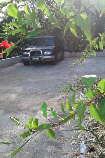 House's parking lot view from house